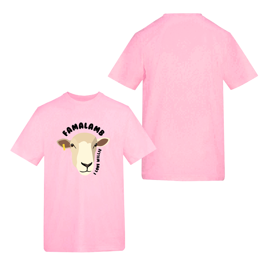 I Love Willie T-Shirt